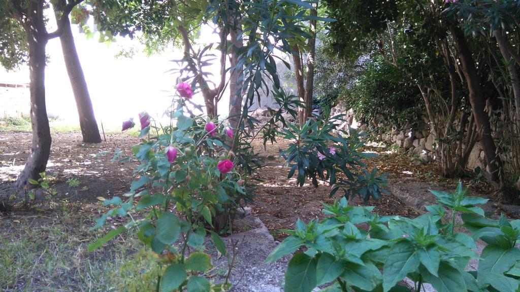 Pag Studio Garden Pag Town Exterior photo